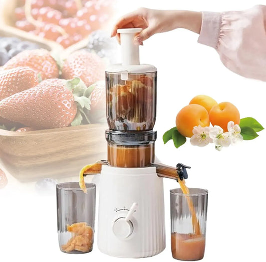 Extracteur de jus, 250 W, Grand Diamètre De 104 Mm, Purité De Jus De 99%